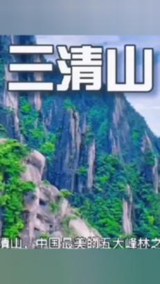 福建省开展松材线虫病疫情防控质量年行动